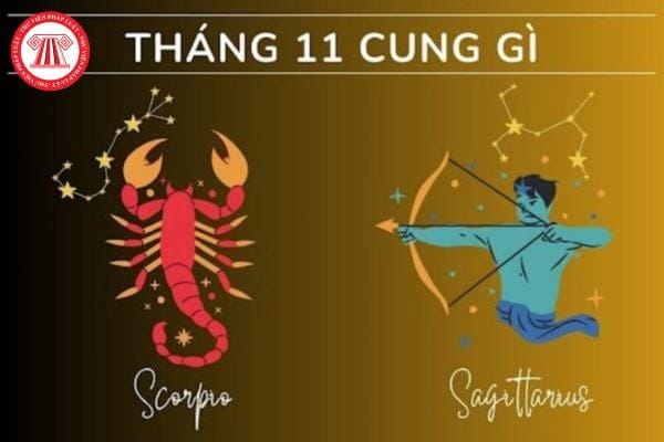10 tháng 11 cung gì? Khám phá bí ẩn ngày sinh đặc biệt này