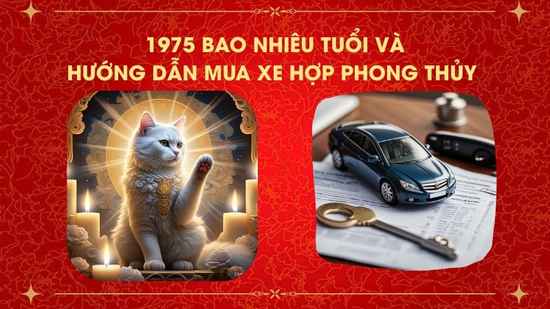Cách Tính 1975 Bao Nhiêu Tuổi Và Hướng Dẫn Mua Xe Hợp Phong Thủy