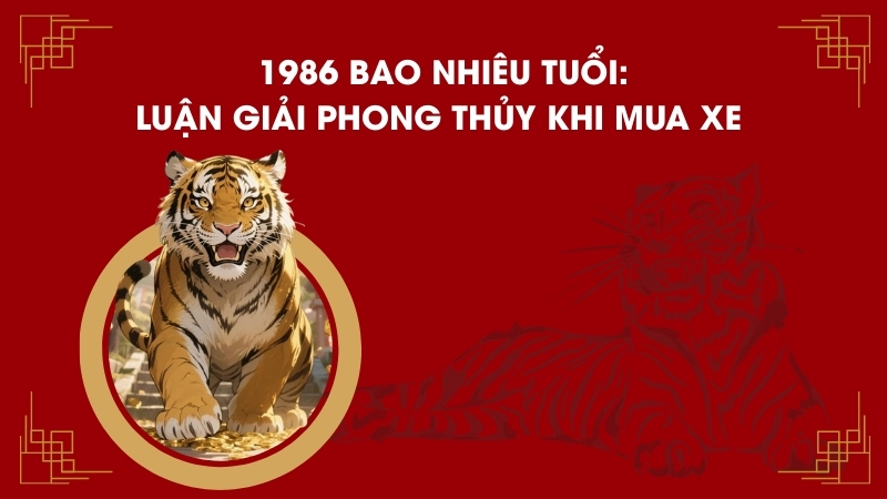 1986 Bao Nhiêu Tuổi: Luận Giải Phong Thủy Khi Mua Xe