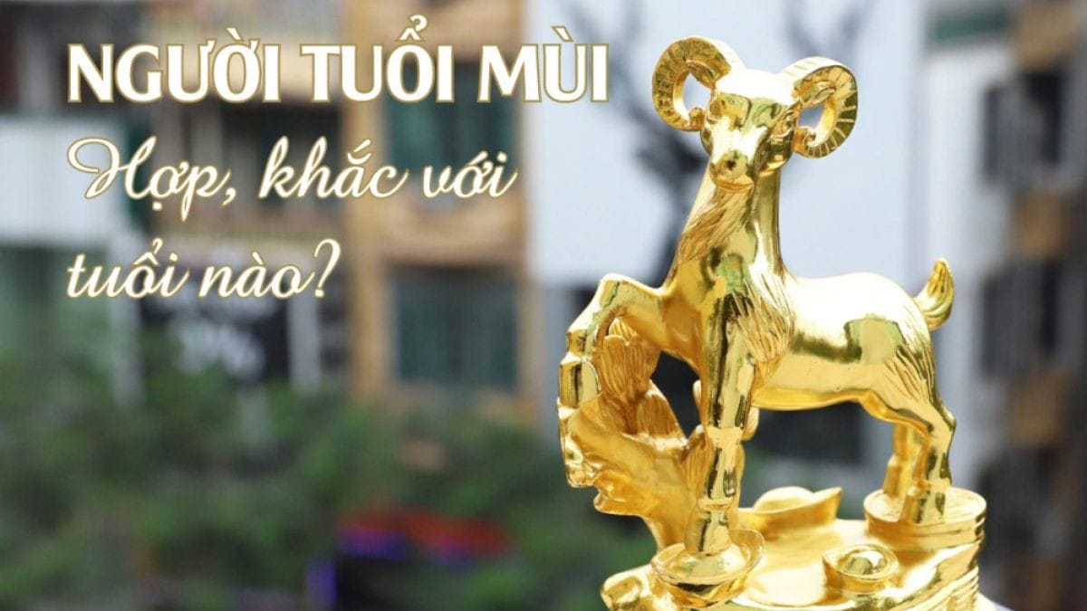 1991 hợp với những tuổi nào