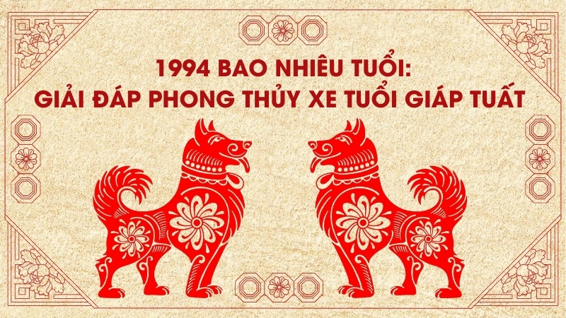 1994 Bao Nhiêu Tuổi: Giải Đáp Phong Thủy Xe Tuổi Giáp Tuất