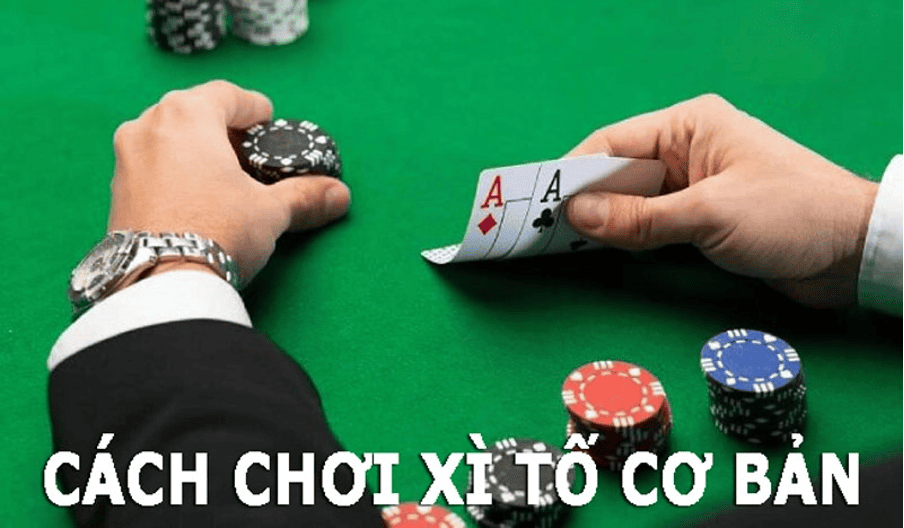 Tổng Quan Về Bài Xì Tố