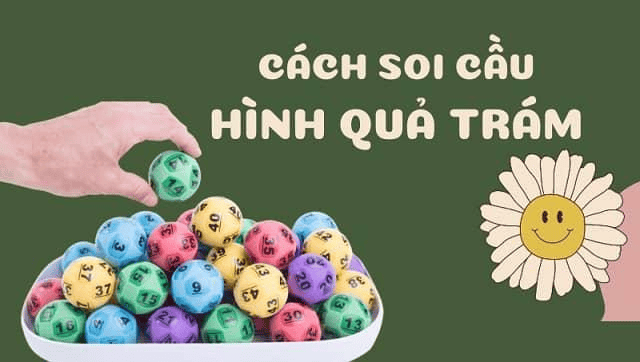 Cách soi cầu quả trám hiệu quả