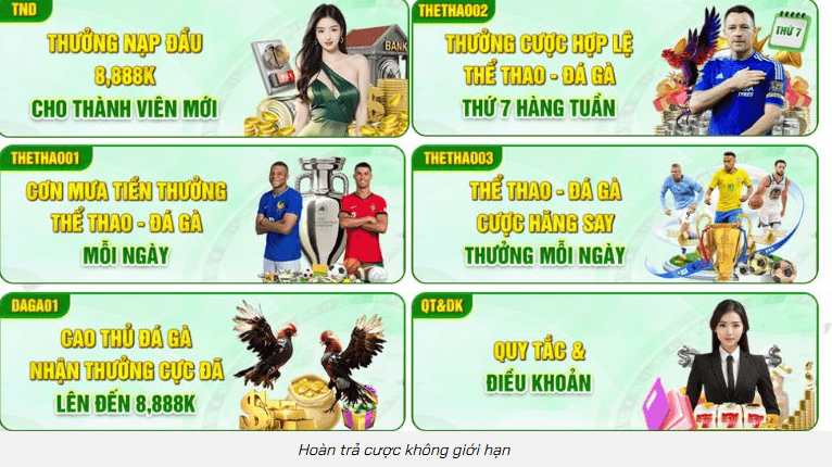 Cách tiếp cận ưu đãi thông minh để tận dụng hiệu quả hơn