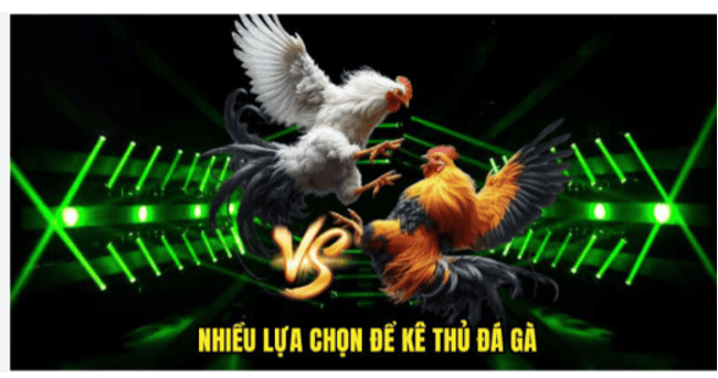 Kèo Đá Xanh Chín – Lô Cốt Kiên Cố Cho Những Cú Dội Bom Tiền Tỷ