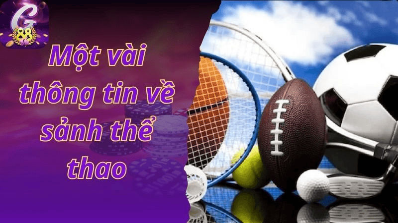 Trải Nghiệm Thể Thao Theo Cách Hoàn Toàn Mới Mẻ
