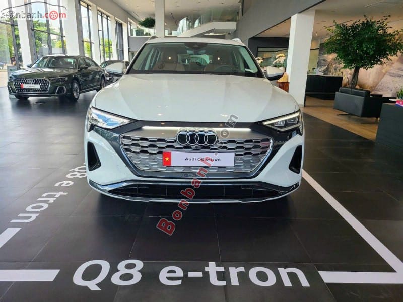 Audi Q8 E-tron hiệu suất cao: Xe ô tô Audi chạy điện