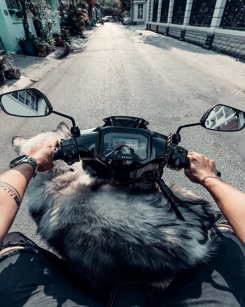 Bạn cần chú ý về số km đi được trên màn hình hiển thị HMI để chủ động mang xe bảo dưỡng đúng thời gian