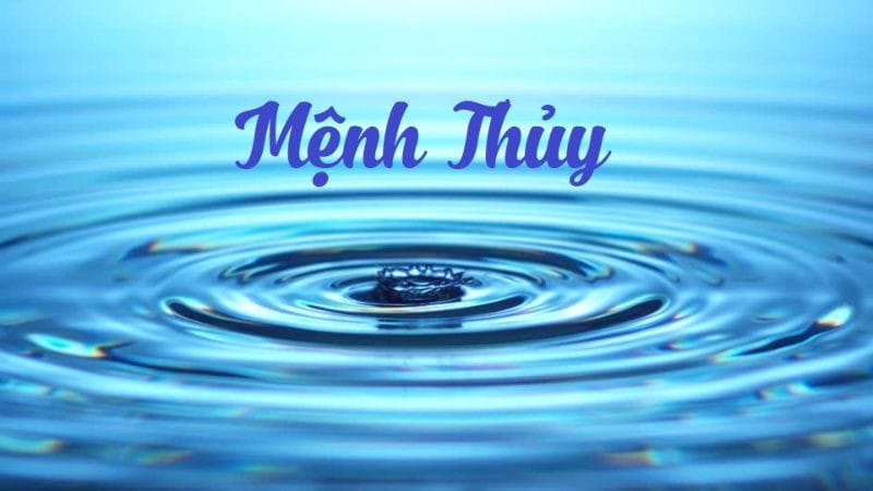 Bản mệnh Thủy của người sinh năm 1982 tuổi gì