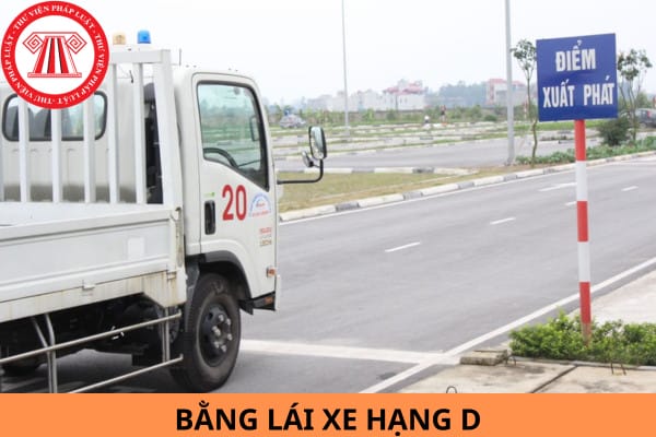 Bằng lái xe hạng D, giấy phép lái xe khách trên 29 chỗ