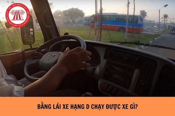 Bằng lái xe hạng D và các quy định pháp luật liên quan