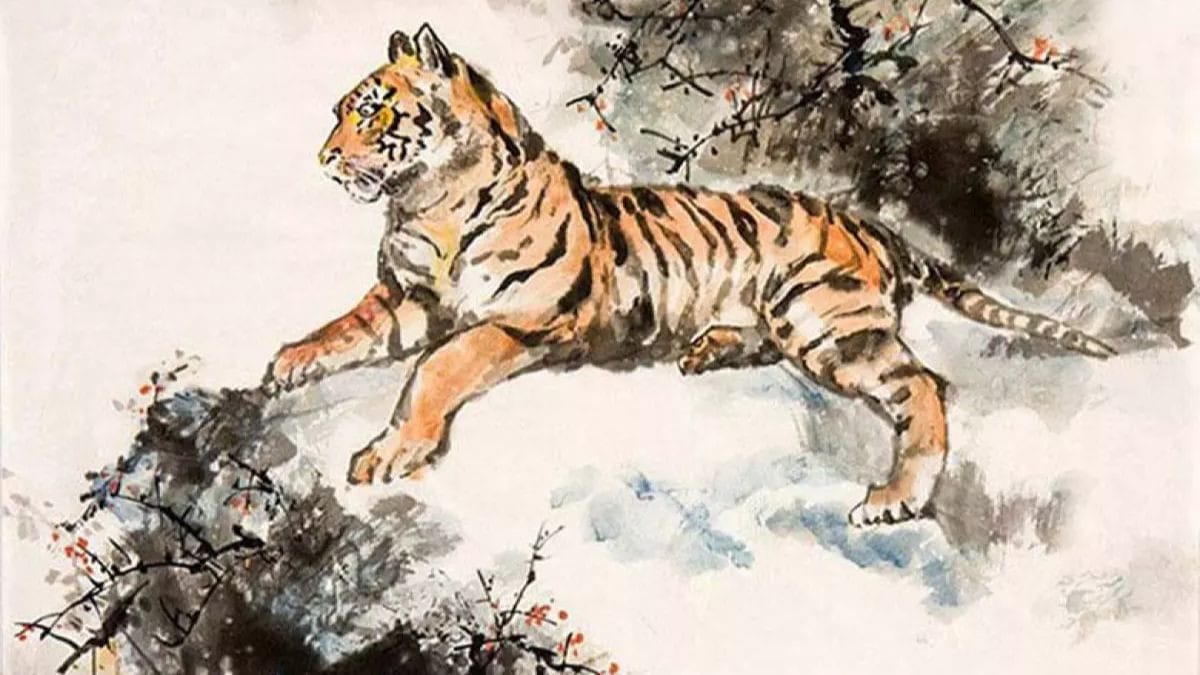 Bảng màu phong thủy gợi ý nữ 1998 hợp màu gì để thu hút vận may và tài lộc