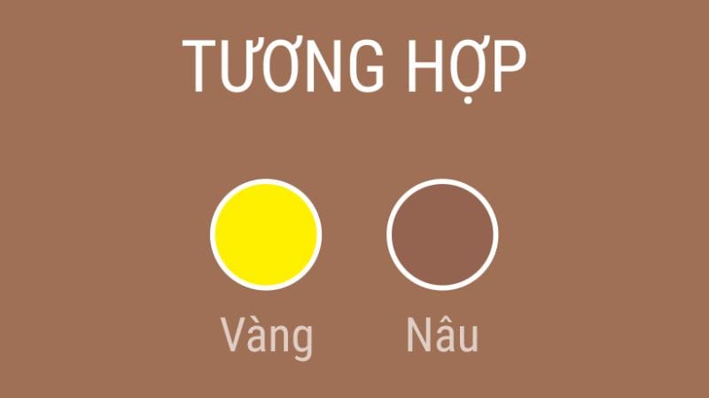 Bảng màu sắc hợp mệnh Kim của người sinh năm 1985 Ất Sửu