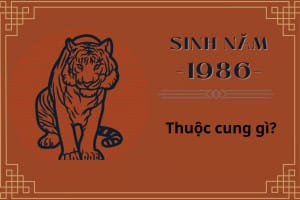 Bát quái và cung mệnh của tuổi Dần 1986 mệnh gì