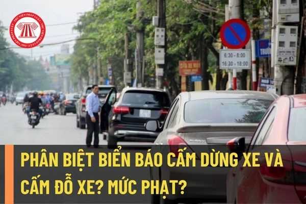 Biển báo cấm dừng xe và cấm đỗ xe