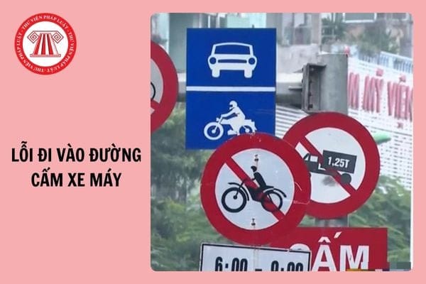 Biển báo cấm xe máy và mức phạt cho lỗi đi vào đường cấm xe máy