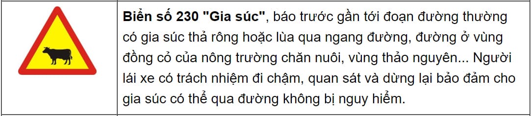 Biển báo nguy hiểm đường có xe đạp, cảnh báo cho người lái xe tải van về sự xuất hiện của xe đạp.