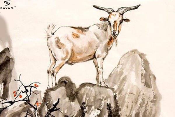 Biểu hiện của sự nóng nảy, dễ xúc động ở người mệnh Hỏa 1979
