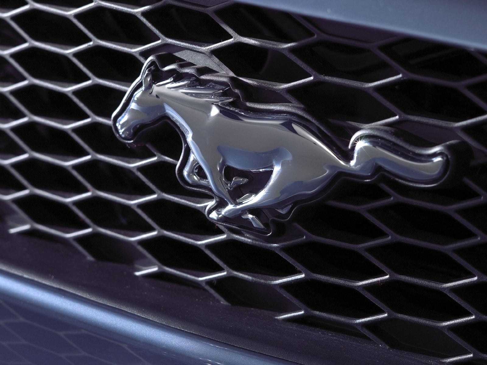 Biểu tượng ngựa hoang tung vó trên đầu xe Ford Mustang, đại diện cho xe hình con ngựa Mỹ