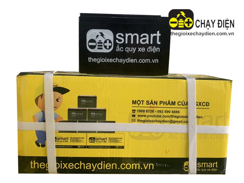 Bình ắc quy xe đạp điện, xe máy điện Smart được sản xuất bởi Thế Giới Xe Chạy Điện