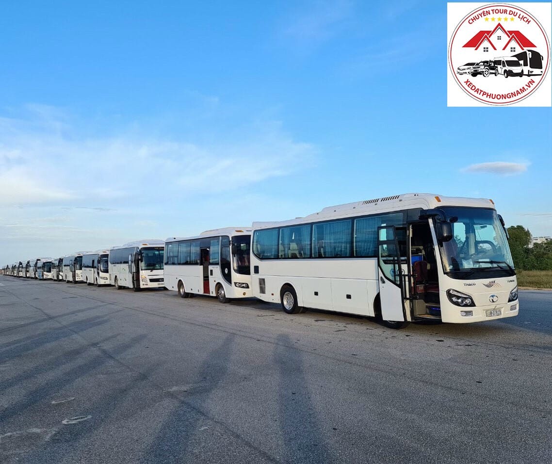 Các loại hình dịch vụ thuê xe du lịch 29 chỗ phổ biến