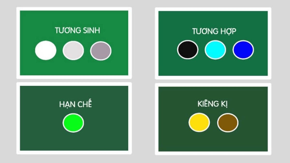Các màu sắc hợp và kỵ với người sinh năm 1974 tuổi con Hổ