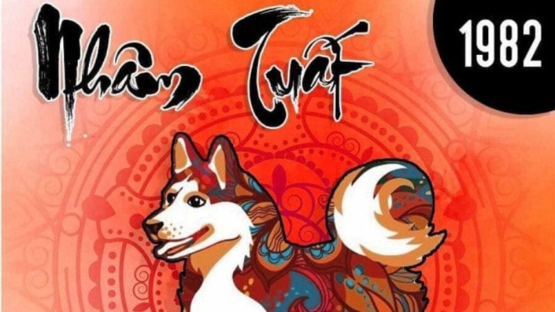 Các năm Tam Tai của người sinh năm 1982 tuổi gì