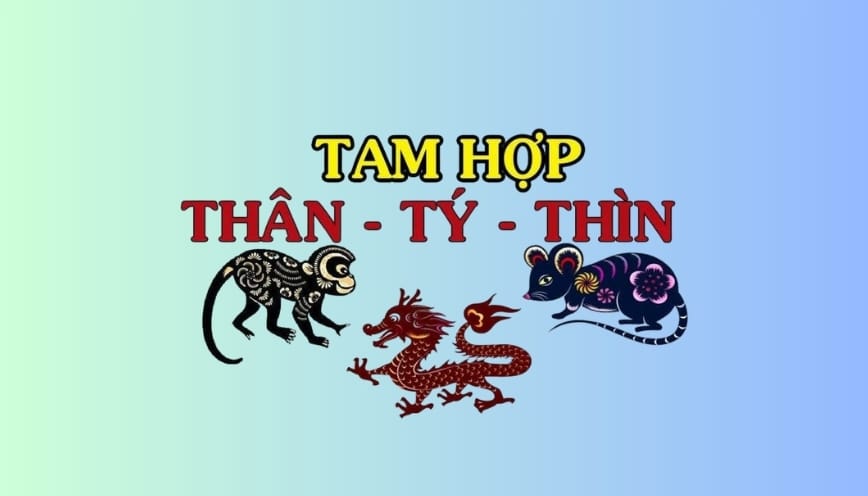 Các tuổi lục hợp Thân Tỵ