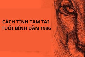 Cách hóa giải hạn tam tai cho tuổi Dần 1986 mệnh gì