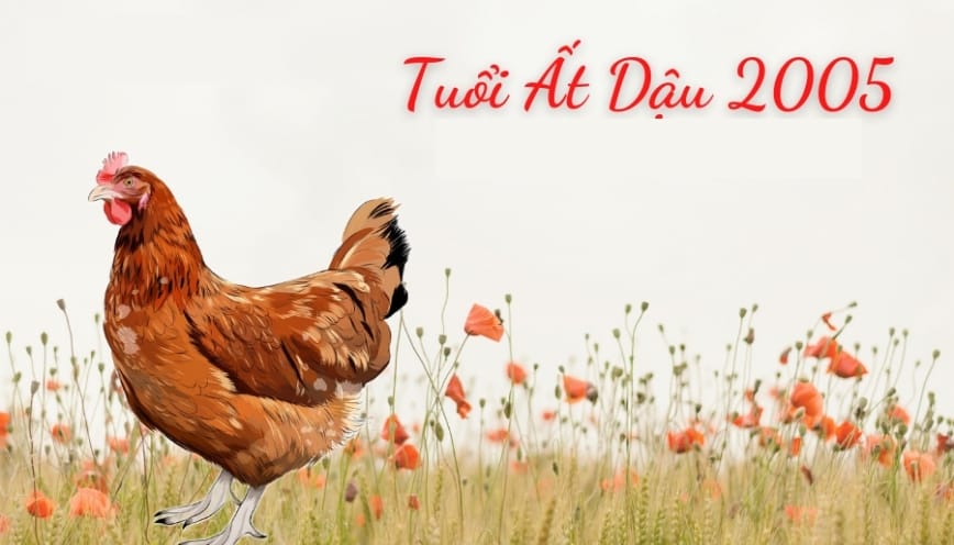 Cách tính 2005 bao nhiêu tuổi năm 2026