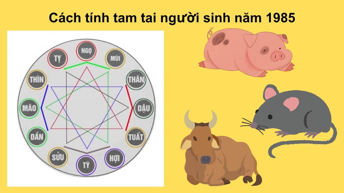 Cách tính và hóa giải hạn tam tai cho nam sinh năm 1985