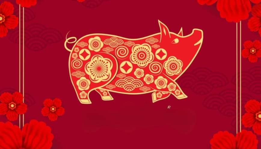Câu hỏi thường gặp khi chăm sóc Kỷ Hợi