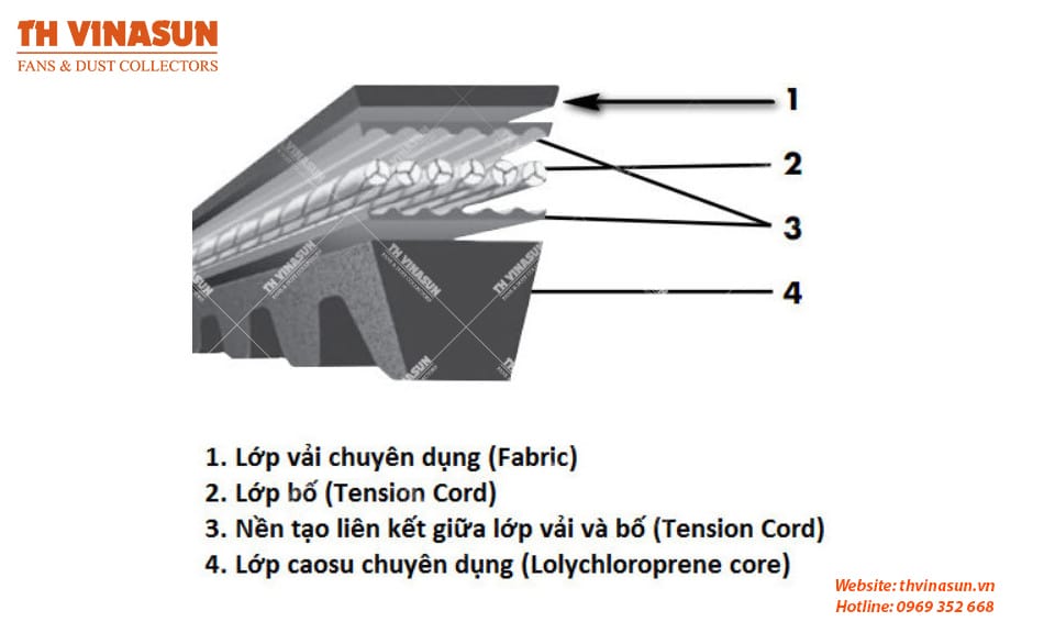 Cấu tạo chi tiết dây đai truyền động