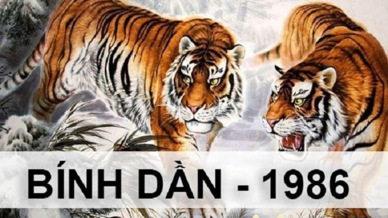 Chi tiết cách tính và các năm hạn Tam Tai của tuổi Bính Dần sinh năm 1986