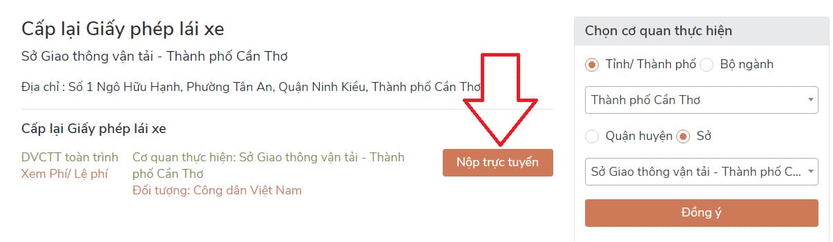 Chọn "Nộp trực tuyến" để tiến hành điền thông tin và nộp hồ sơ cấp lại bằng lái xe máy online.