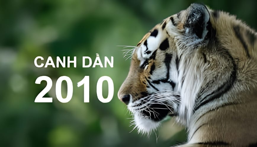 Con sinh năm 2010 hợp với bố mẹ tuổi gì?