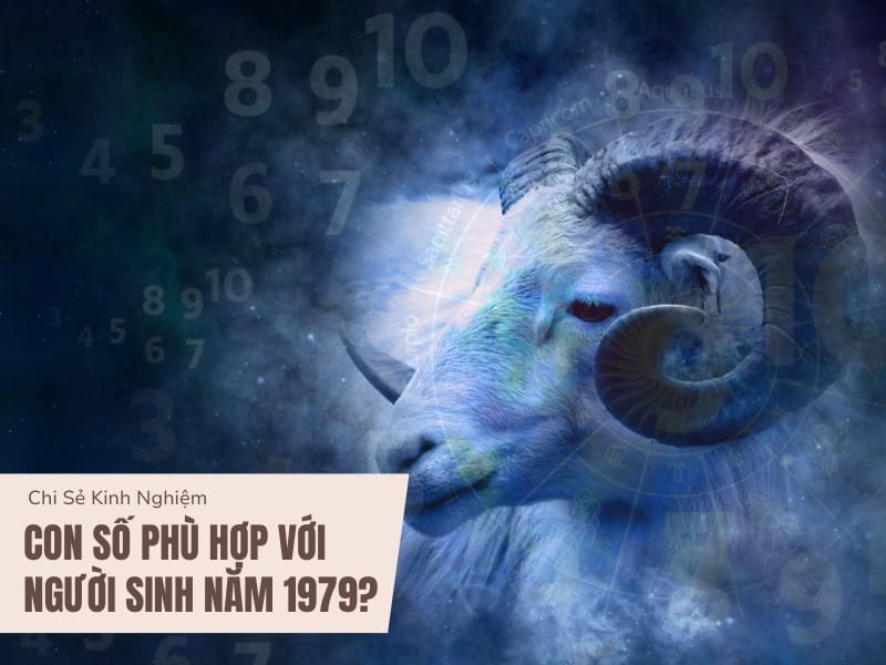 Con số hợp với người sinh năm 1979