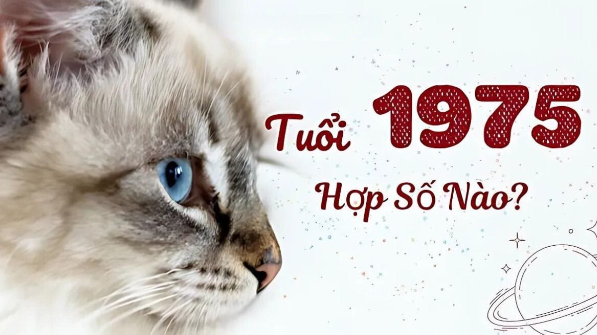 Con số phong thủy may mắn cho người sinh năm 1975 tuổi con gì
