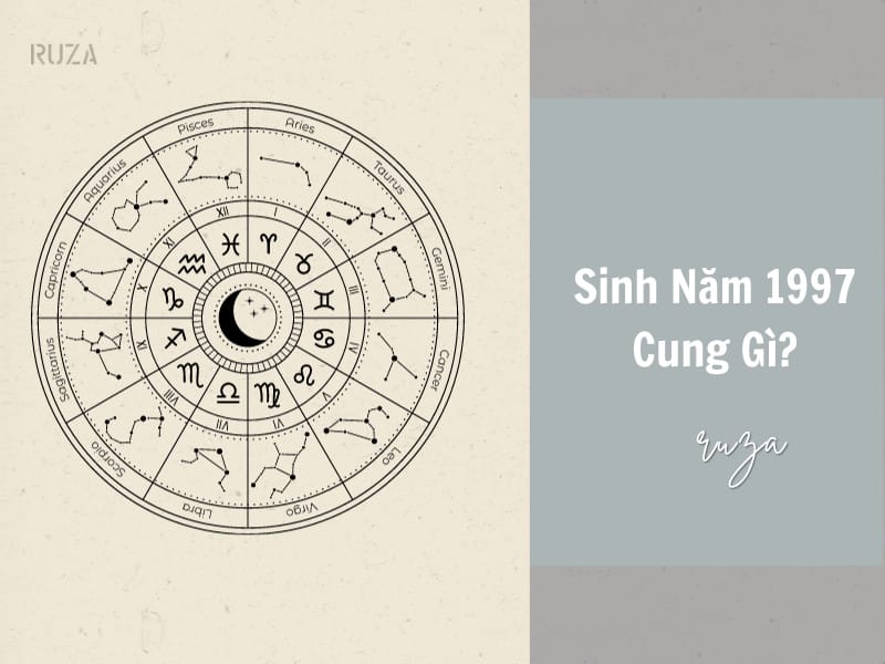 Cung Chấn (Mộc) cho người sinh năm 1997