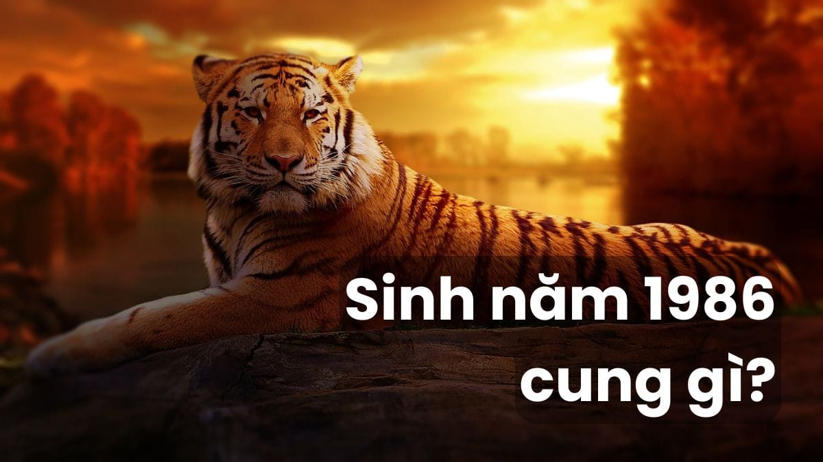 Cung mệnh của người sinh năm 1986