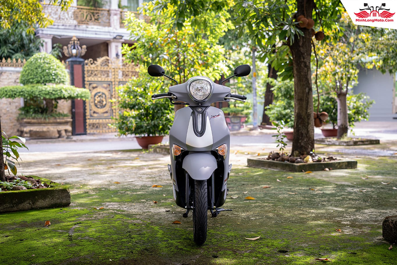 Đèn pha ấn tượng của xe tay ga Janus