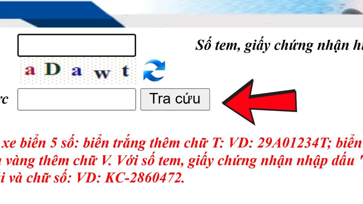 Điền mã xác thực để hoàn tất quá trình tra cứu biển số định danh.