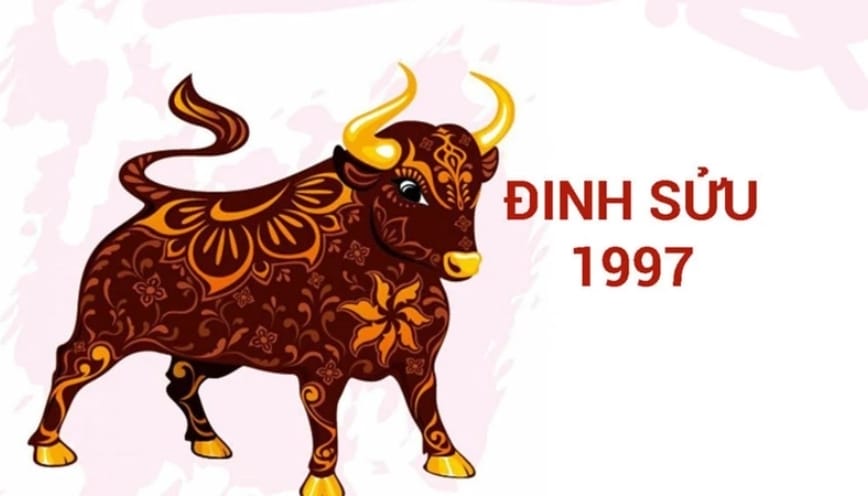Định hướng bản mệnh 1997 năm 2026