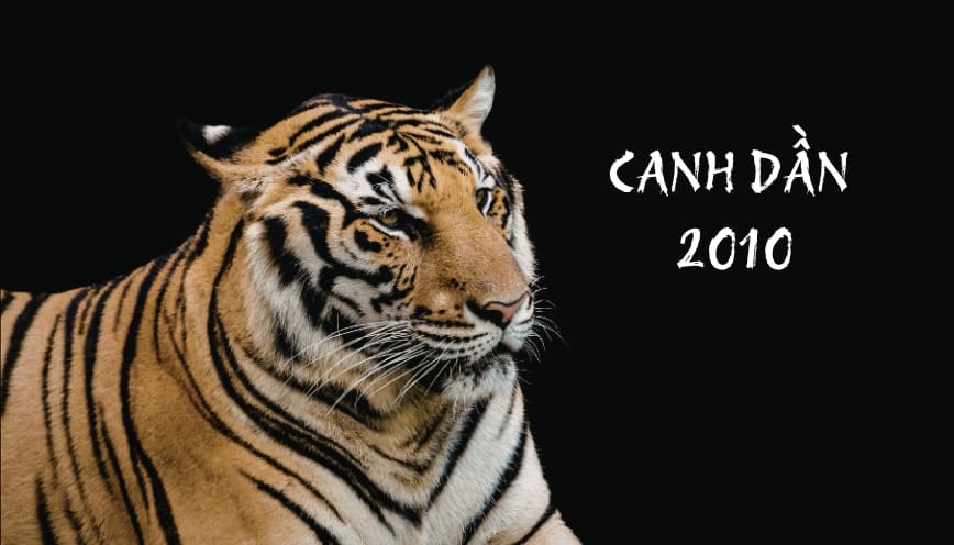 Định hướng tương lai phù hợp cho Canh Dần