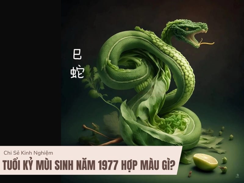Đinh Tỵ sinh năm 1977 hợp màu gì