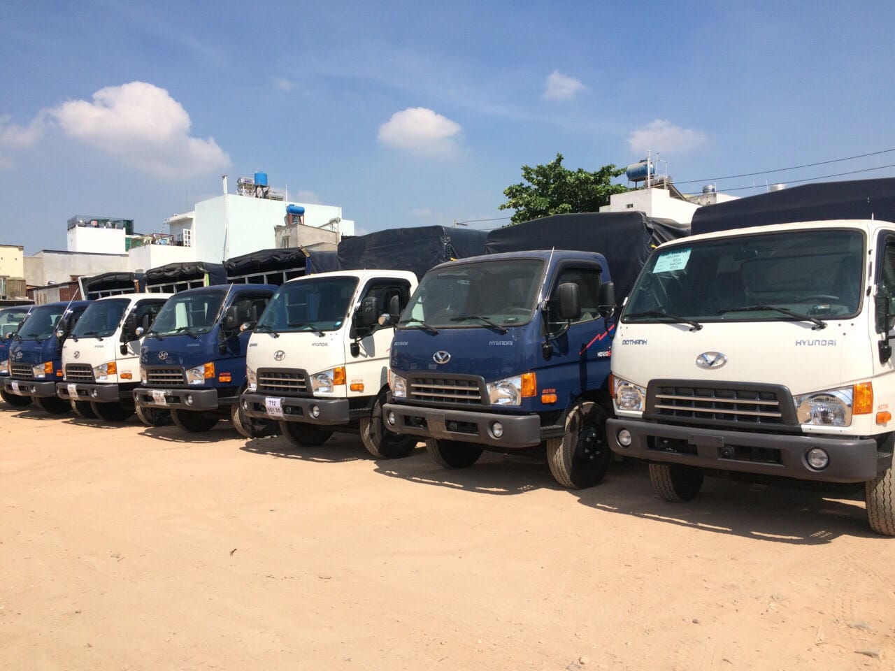 Dòng xe tải 8 tấn cũ tại bãi xe thanh lý ở TP.HCM