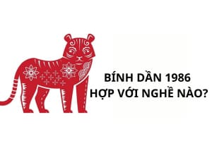 Đường công danh và nghề nghiệp phù hợp cho tuổi Dần 1986 mệnh gì