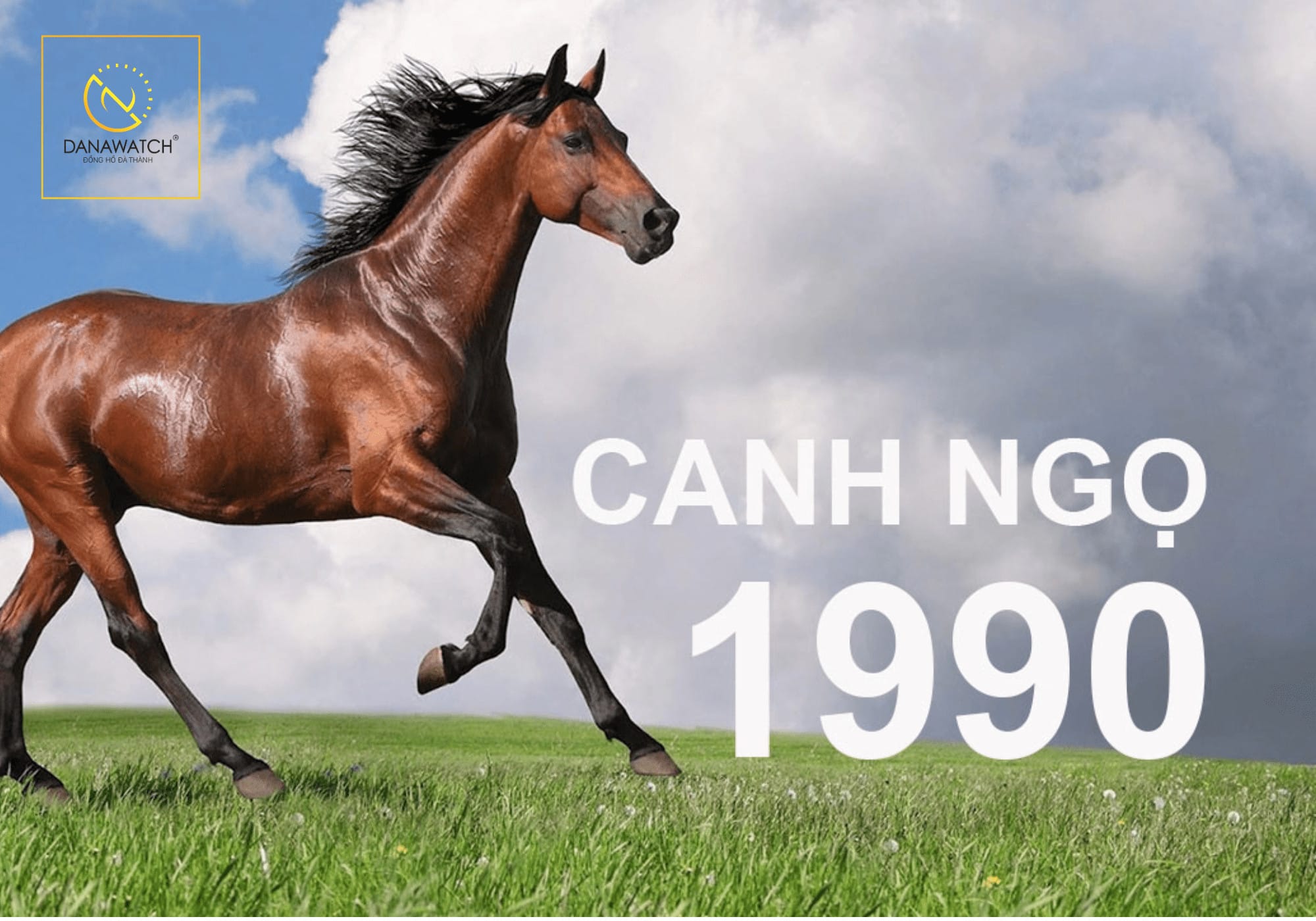 Giải đáp 1990 là tuổi con gì và những thông tin phong thủy cơ bản