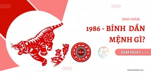 Giải đáp tuổi Dần 1986 mệnh gì qua hình ảnh cặp đôi Bính Dần