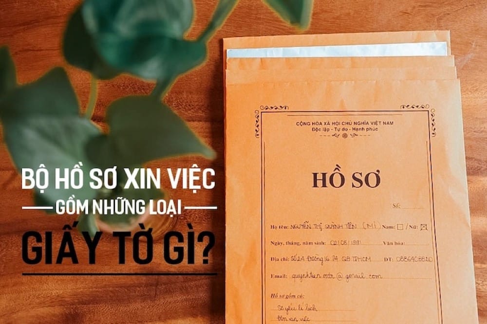 Giấy tờ cần thiết khi chuẩn bị hồ sơ xin việc lái xe Taxi Xanh SM